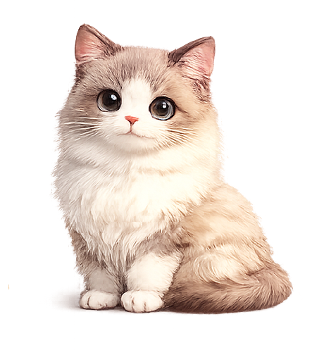 猫咪美容